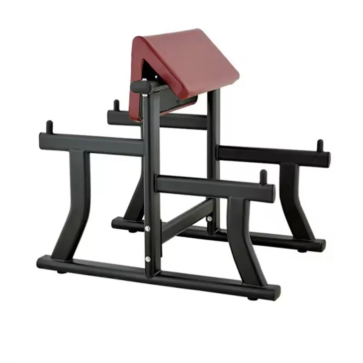Sculpting Biceps Training Machine price